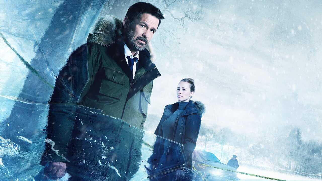 QFR - Cardinal (2017) 3