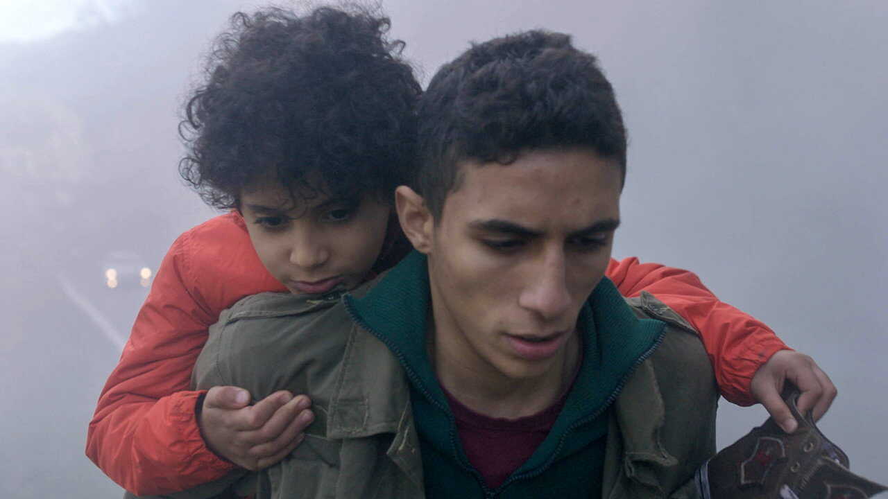 Despite the Fog (2019) 0