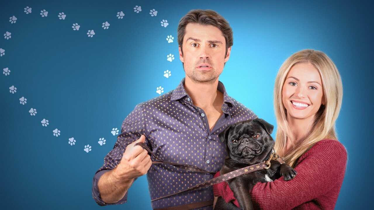 The Dog Lover's Guide to Dating 0