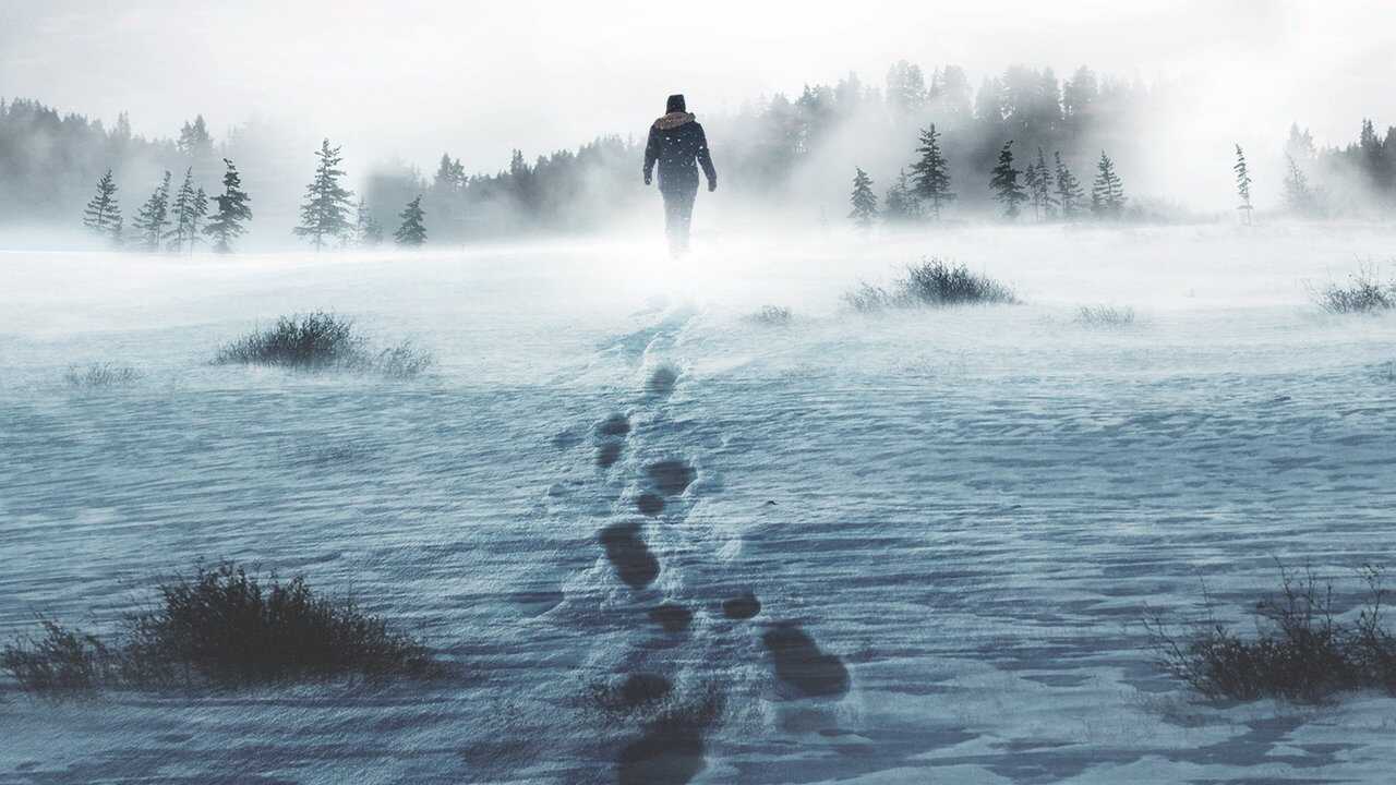 FR - Alone : les survivants 0