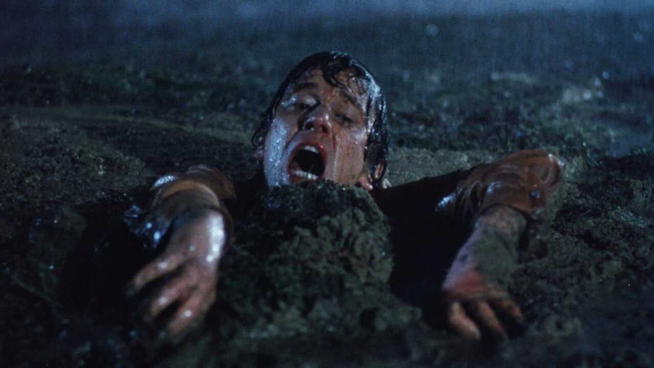 The Evil - Le radici della paura (1978) 0