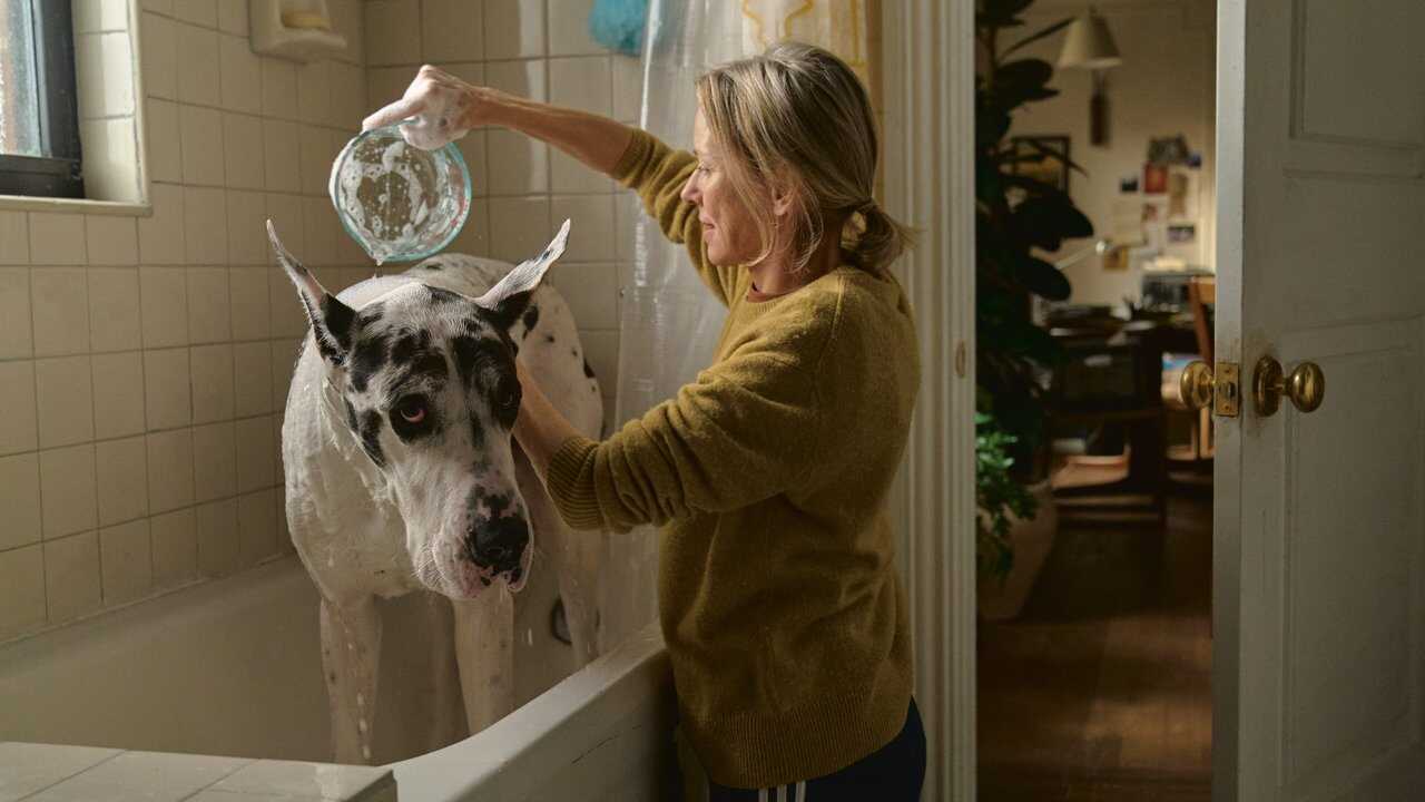 The Friend (2025) 0