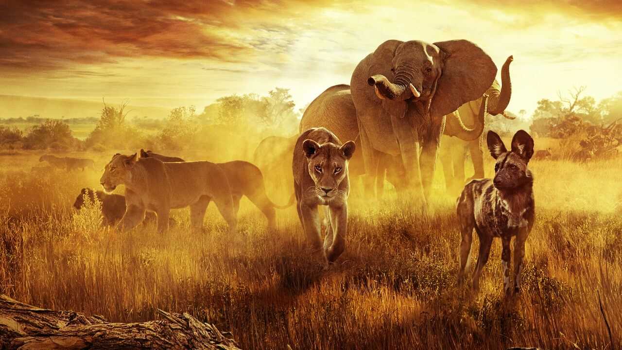 Surviving Paradise: A Family Tale 0