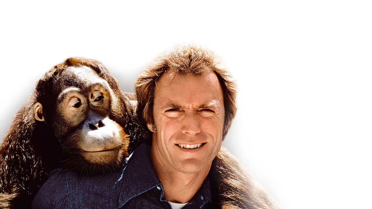 Any Which Way You Can (1980) 0