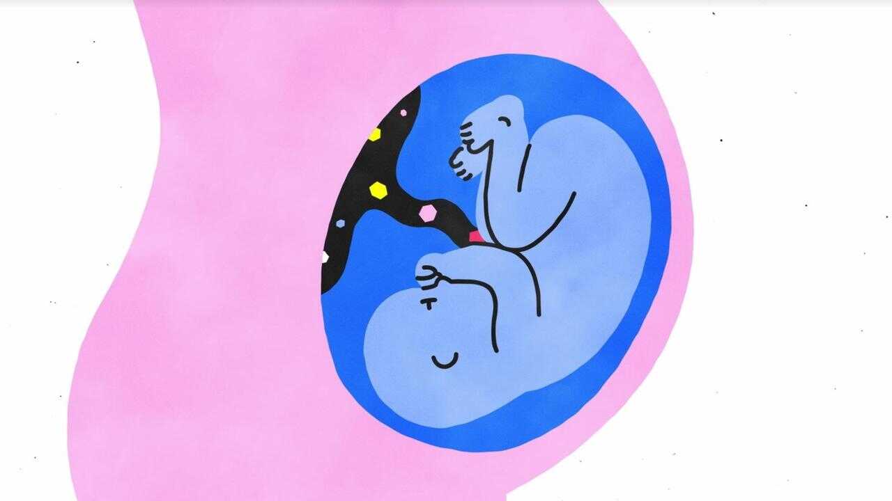 NF - Sex Explained 1