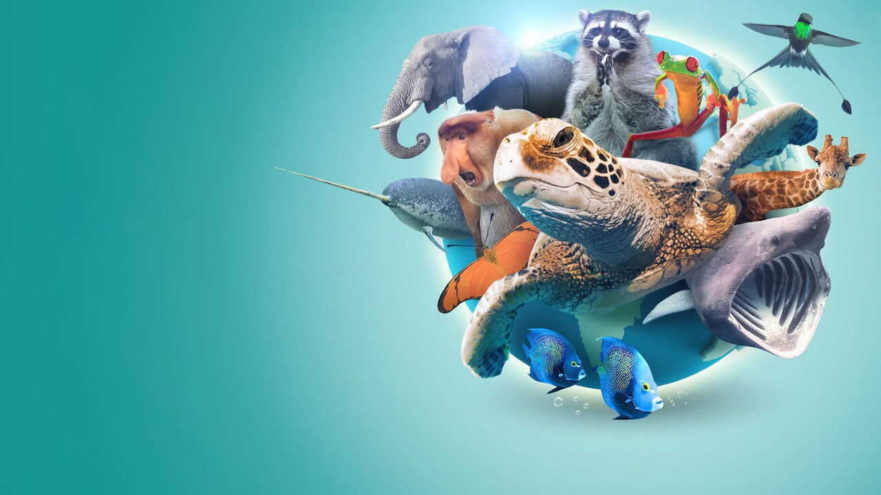 NF - Absurd Planet 1