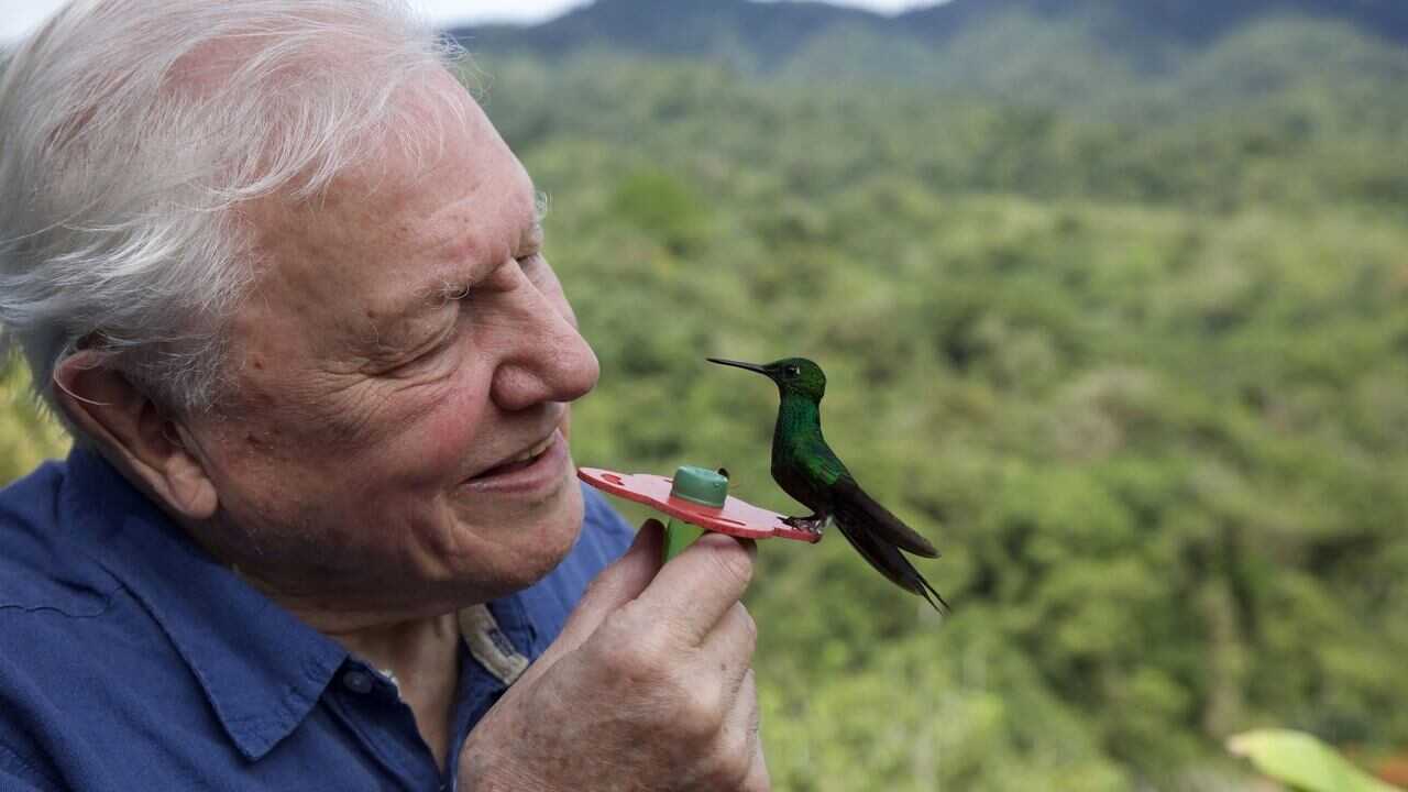 EN - Attenborough's Life in Colour (2021) (GB) 1