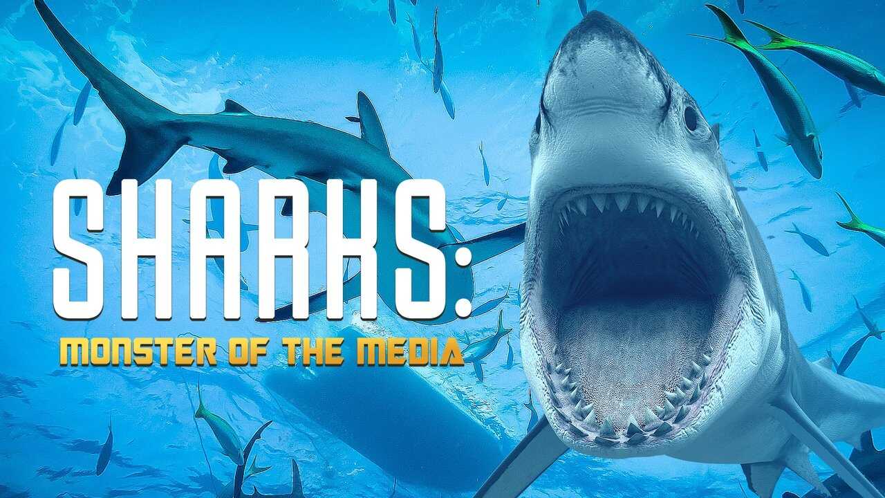 Sharks: Monster Of The Media 0