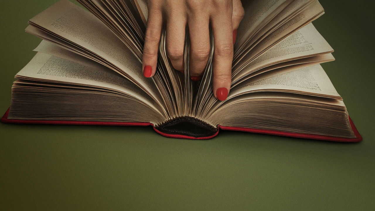 FR - Le Délicieux Professeur V. (2026) (US) 2