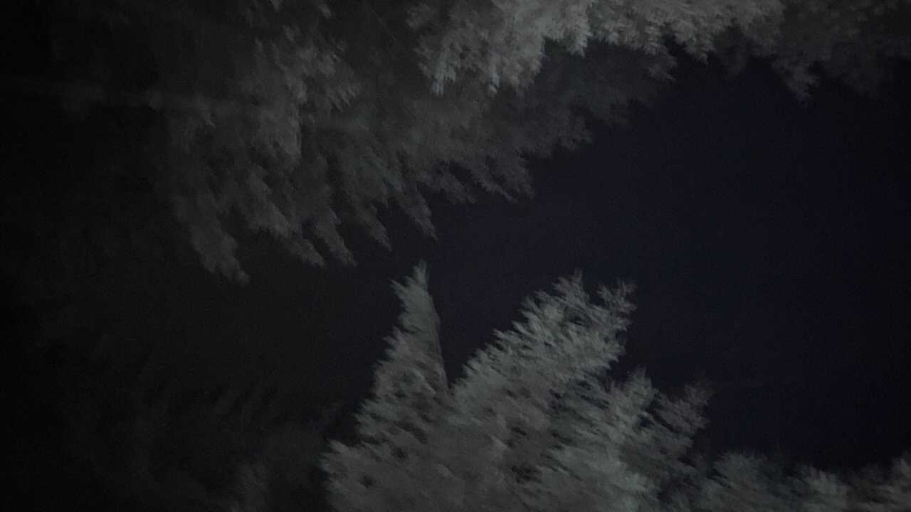 Last to Die (2025) 0