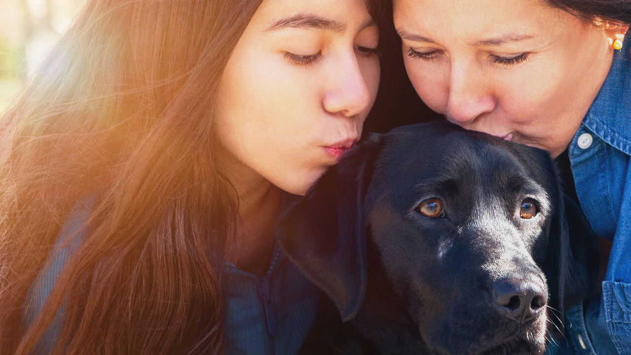 D+ - Pick of the Litter (US) 1