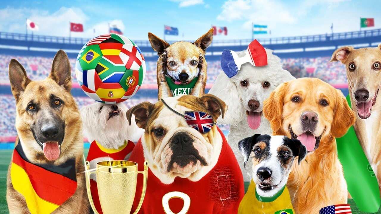 Pups United (2015) 0