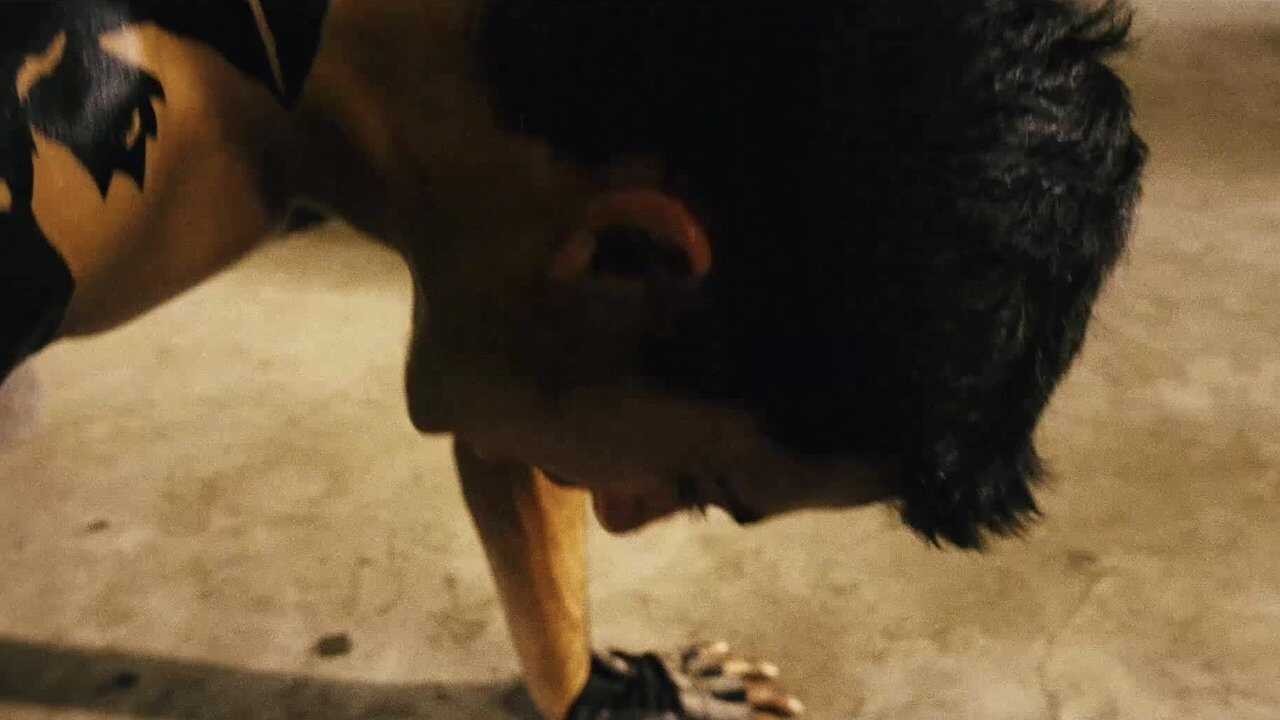 The White Monkey Warrior (2008) 0