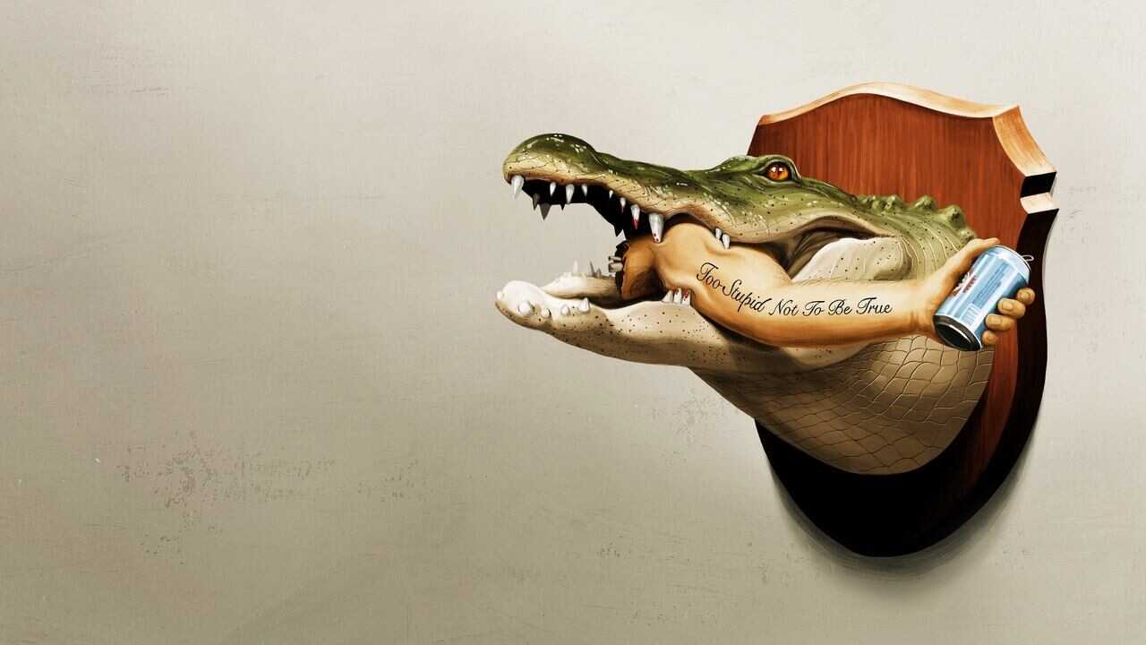 EN - It's Florida, Man. (2024) 3