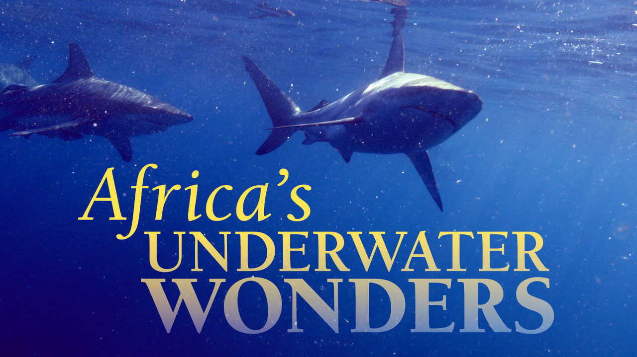 EN - Africa's Underwater Wonders (2016) (CA) 0