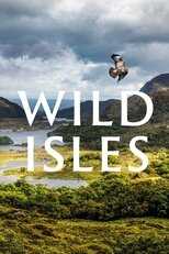AR - Wild Isles (2023) 14