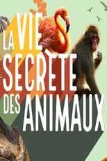 QFR - La vie secrète des animaux 14