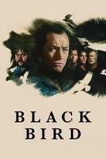 AL - Black Bird 14