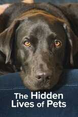 AR - The Secret Life of Our Pets (2022) 14