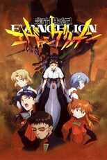 DE - Neon Genesis Evangelion (1995) 14