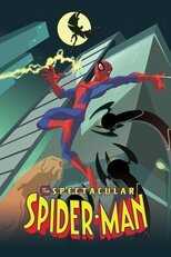 DE - The Spectacular Spider-Man (2008) 14