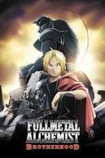 DE - Fullmetal Alchemist: Brotherhood (2009) 14