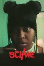 IT - Sciame 14
