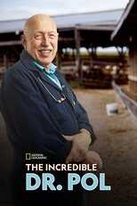 NL - THE INCREDIBLE DR POL 14