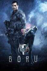 FR - Boru 14