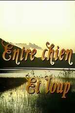 QFR - Entre chien et loup 14