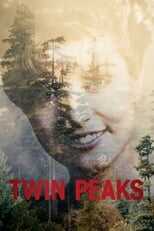 PL - MIASTECZKO TWIN PEAKS 14