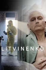 [SE] Litvinenko 14