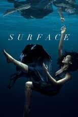 GR - Surface 14