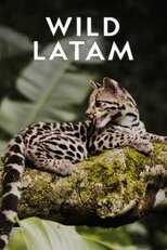 AR - Wild Latam (2020) 14