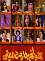 AR - مسلسل هوانم جاردن سيتي 14