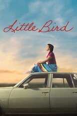 AR - Little Bird (2023) 14