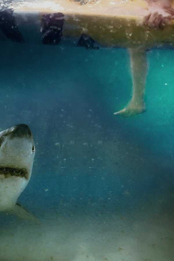 After the Bite (2023) 0