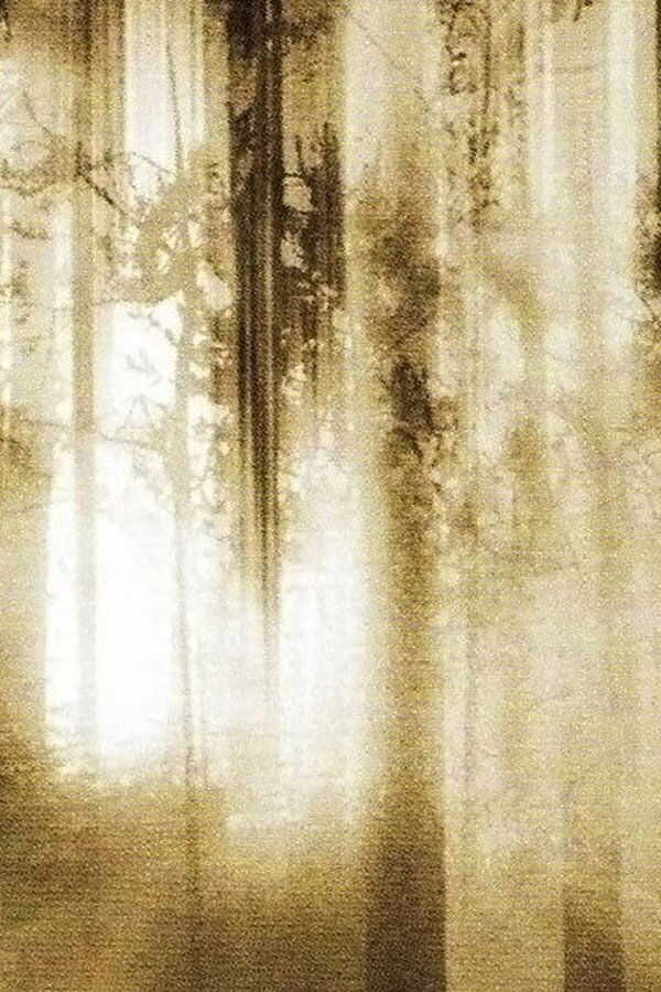 Altered (2006) 0