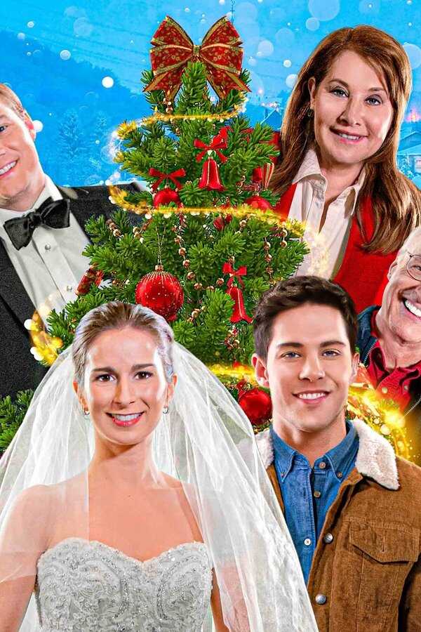 Hochzeit unter dem Weihnachtsbaum (2020) 0