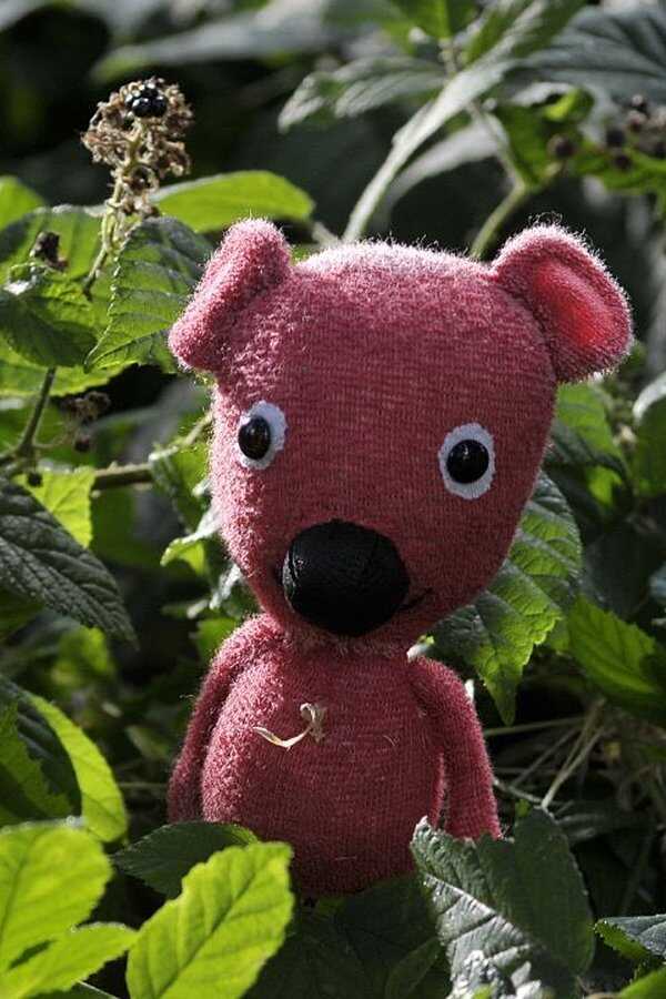 Kooky (2010) 0