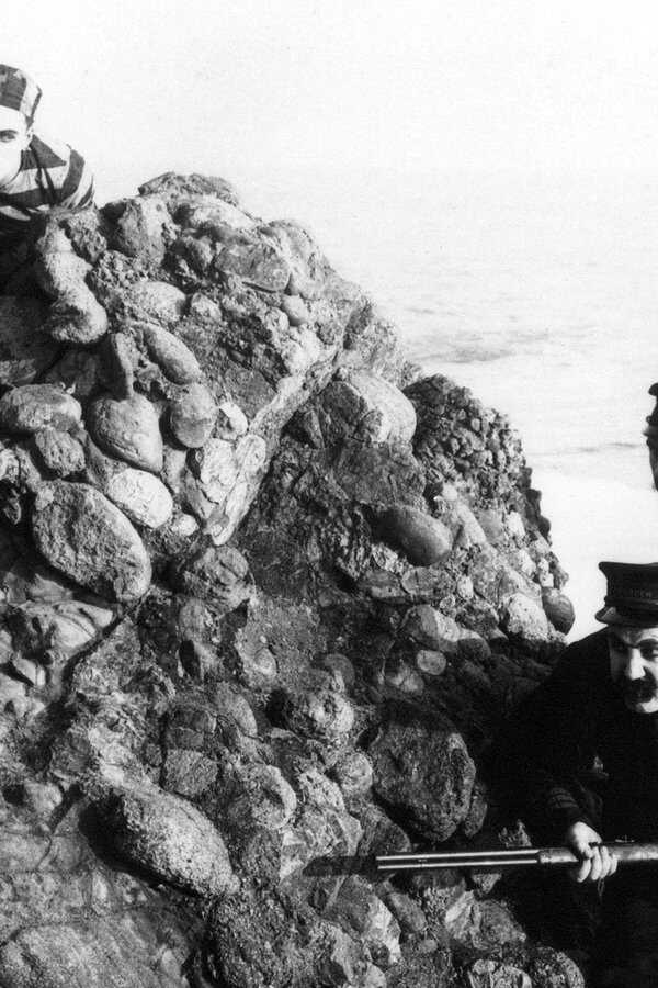 The Adventurer (1917) 0