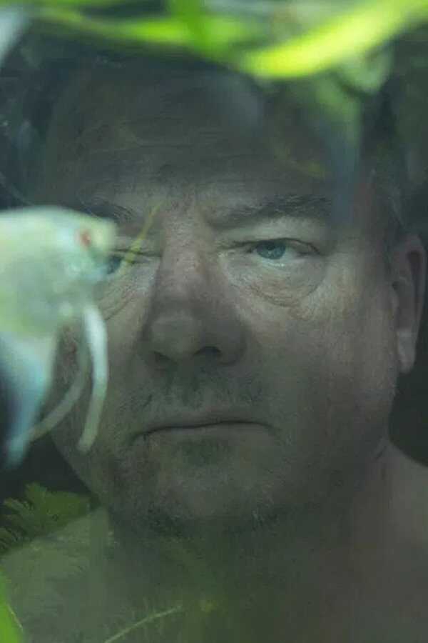 Herbert (2015) 0