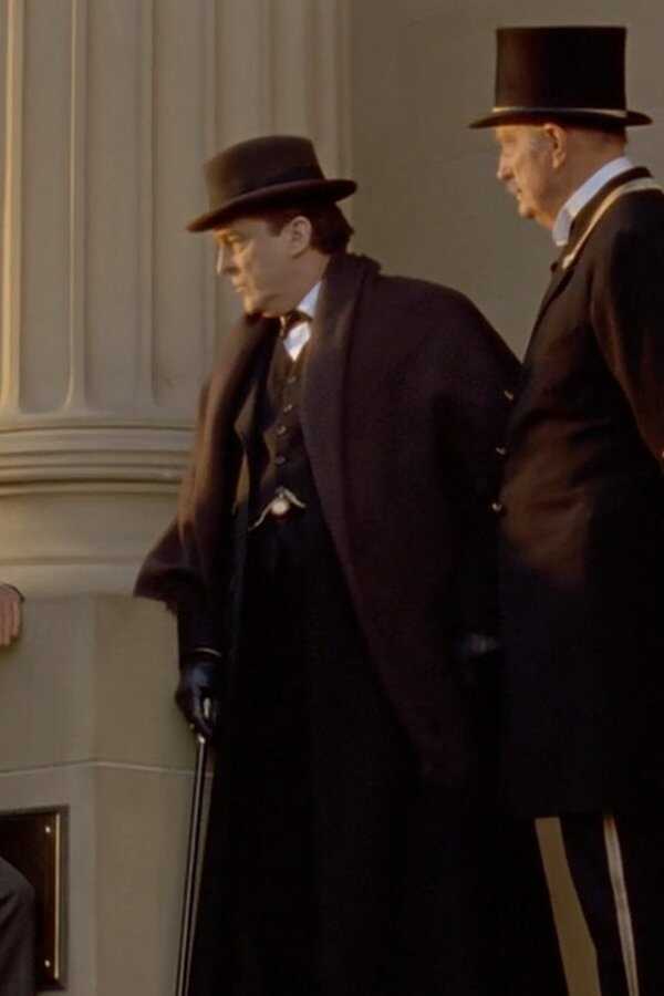 Der begehrte Junggeselle (1993) 0