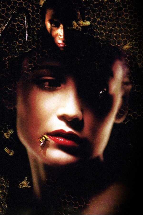 Candyman 2 - Die Blutrache (1995) 0