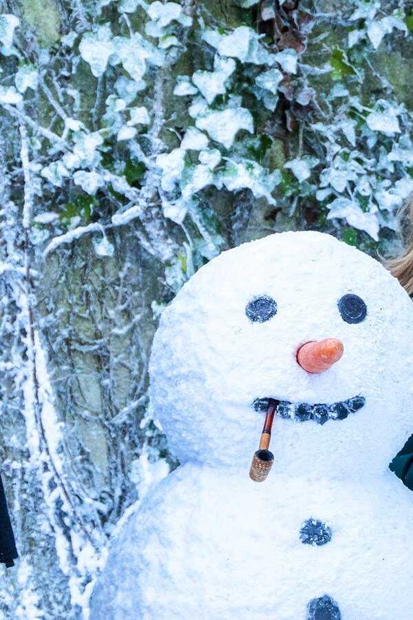 Le parfait village de Noël (2018) 0