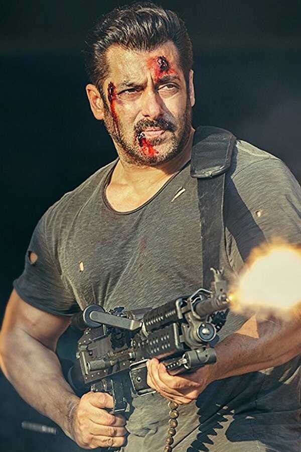 Tiger Zinda Hai (2017) 0