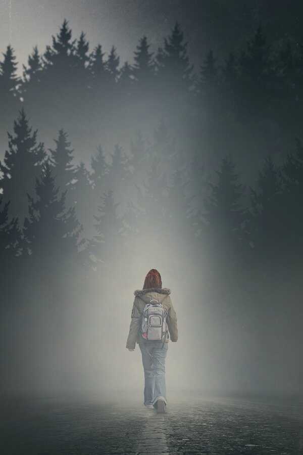 The Girl in the Fog (2017) 0