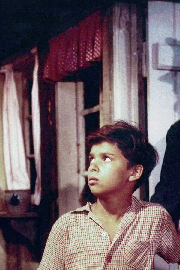 Paw (1959) 0