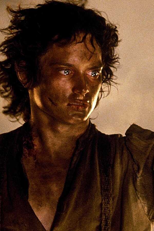 The Lord of the Rings: The Return of the King (2003) 0