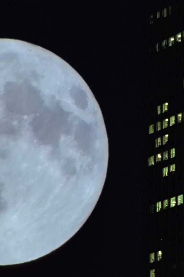Koyaanisqatsi (1982) 0